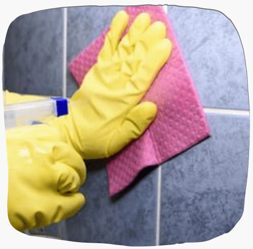 Tile and Grout Cleaning Paddington